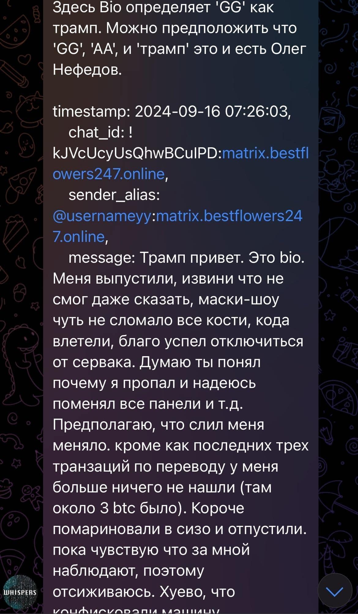 Figure 2: Service provider account on Telegram