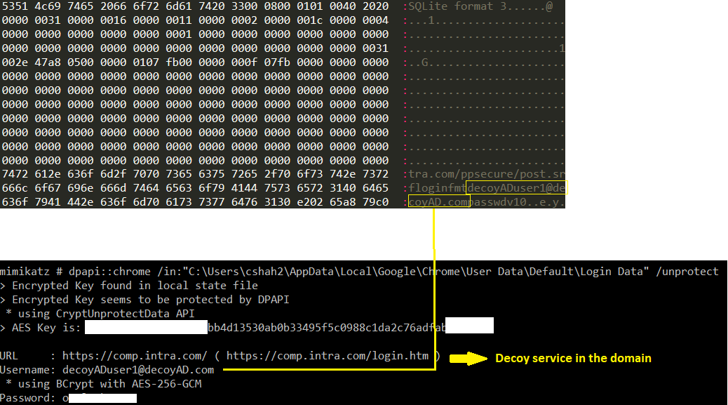 Figure 28. Inserting deceptive browser credentials